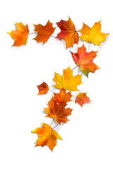 Number 7 from of colorful autumnal maple leaves on white background. Top view, flat lay