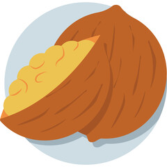 Coconut Vector Icon 