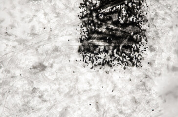 Laser printout on white paper under 40x magnification microscope, fibre threads and miniature black...
