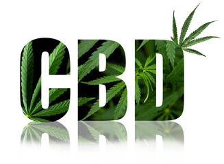 CBD or THC cannabis addiction or alternative health - banner design