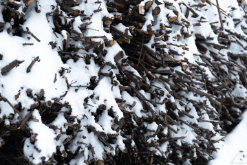 Pile of firewood in the village under a layer of snow