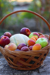 Vintage basket full of seasonal fruit in the garden. Selective focus.