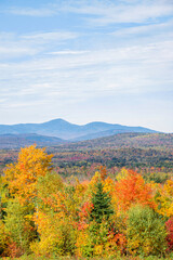 Fall in Maine with trees in the foreground showing their colors and mountains in the background