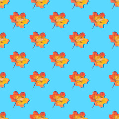 Fototapeta na wymiar Absolutely seamless pattern of yellow leaves on a blue background