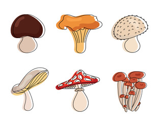 Mushroom vector collection design, mushroom vector set, mushroom collection design. Doodle set - mushrooms.