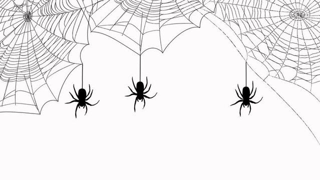 Black spiders hanging from webs. Static shot of animated graphic design against white background. Concept of Halloween. High quality FullHD footage