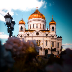 cathedral of christ the savior