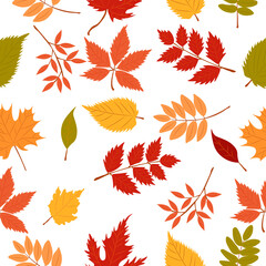 autumn pattern with autumn leaves. Autumn pattern for autumn design