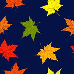 Colorful fallen yellow orange green red maple leaves on dark blue background. Acer leaf. Autumn color template. Poster. Flyer. Celebration Card. Fall season. Foliage. Banner. Vector seamless pattern.