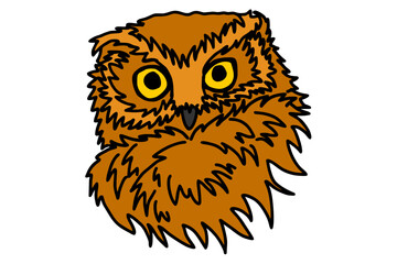 Brown Owl Head Vector