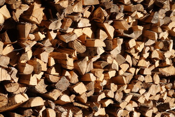 Stack of chopped logs from silver birch trees