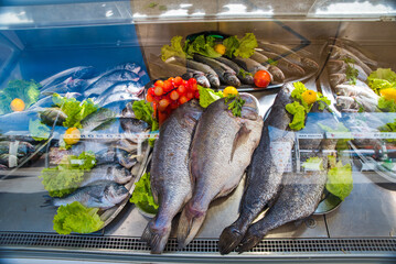 fresh fishes in the fridge