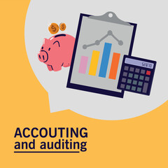accounting and auditing report