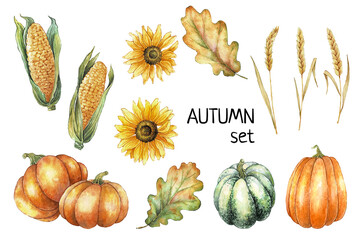 Thanksgiving Autumn clip art. Watercolor autumn illustration set of leaves, sunflowers, corn, pumpkins and wheat. Farm harvest. Thanksgiving hand drawn elements.