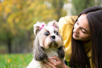 A brunette woman holds in her arms hugs and kisses a funny surprised shih tzu dog in  autumn park. copy space background. The concept of love and care for animals.