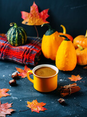 Yellow cup of autumn coffee. Scattered dry maple leaves and small pumpkins , Knitted warm autumn scarf on a dark table