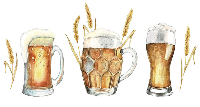 Watercolor Beer glasses collection. Classic beer mug with ears of wheat. Watercolor realistic food illustration. Modern design. Bar Menu design	