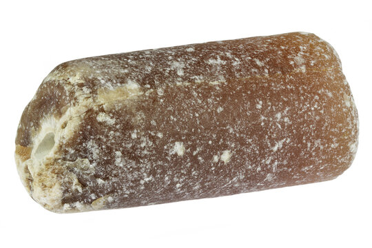 belemnite from the Baltic Sea coast in Waabs, Germany isolated on white background