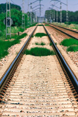 Fototapeta na wymiar Straight train tracks in perspective