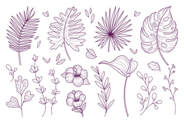Tropical collection with exotic flowers and leaves. Vector illustrations in sketch style isolated on white background