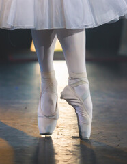 Ballet dancers couple during performance repetition, classic ballet rehearsal practicing in ballroom, view of legs in pointe shoes, ballerina and ballet dancer on a concert hall theatre stage © tsuguliev