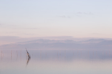 Minimalist view of fishing net poles on a lake, with perfectly still water and almost ky at dusk - 528562643
