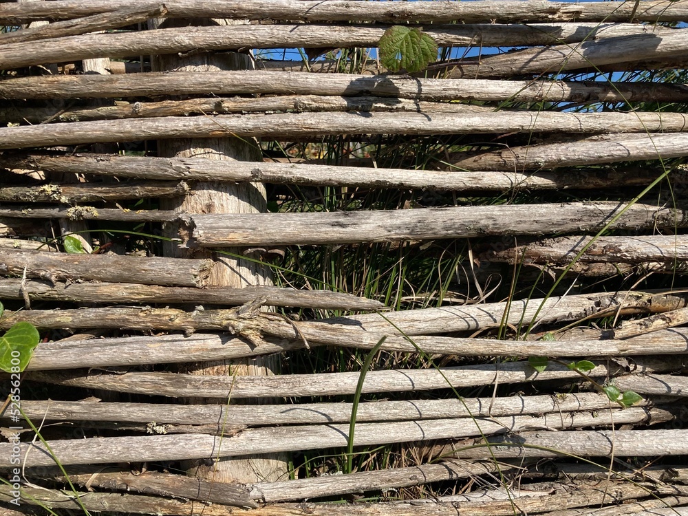 Poster Woven wooden branches make a wooden fence