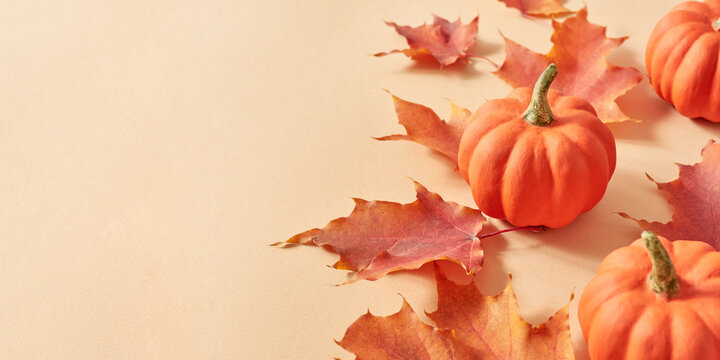 Colorful autumn leaves and pumpkins on an orange background. Nature mockup background