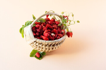 Wild strawberries in a beige basket on a orange background with green leaves, healthy and delicious food