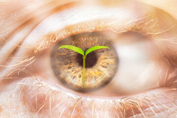 Close-up of an eye in selective focus with reflection of a growing sprout. Illustration on the theme of rebirth and restoration. Hope for new life and enlightenment.