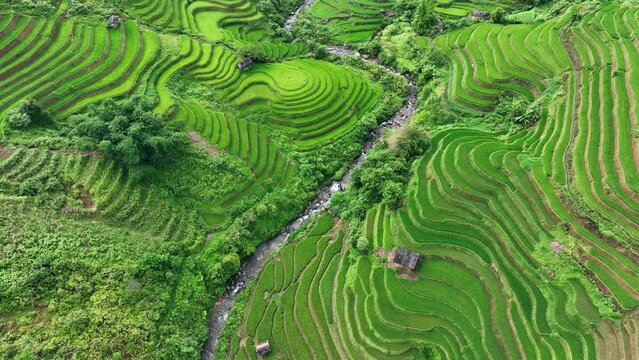 Drone view of Rice terrace with morning mist in Mu cang chai, Vietnam. Beautiful landscape in Vietnam.