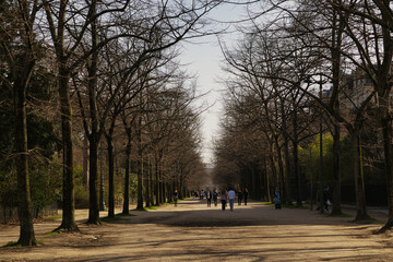 Obraz premium park in the evening