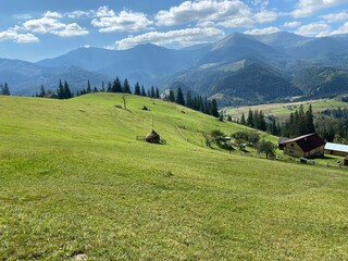 Fototapeta na wymiar alpine meadow
