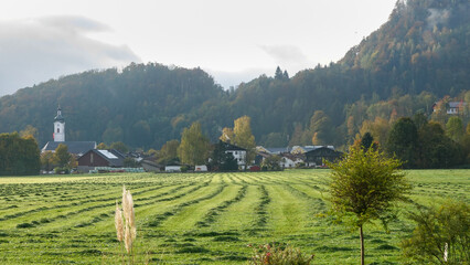 gemähte Wiese 
