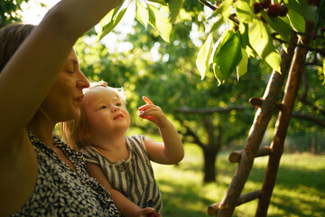 A little girl reaches for cherries on a tree. Mother helps cute child learn the world. Mom and daughter are harvesting cherries in the garden