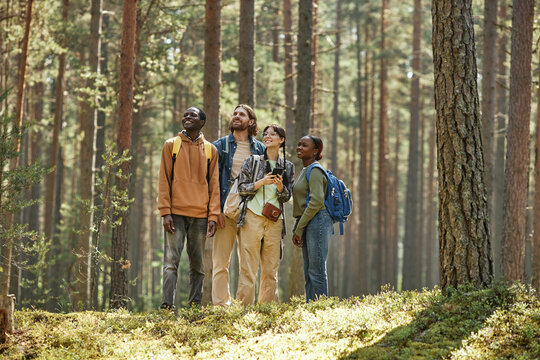 Group of young people enjoying the nature while standing in the forest during hiking