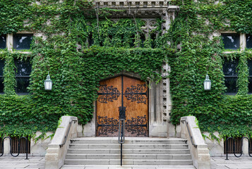 Entrance to gothic style old stone college building covered in ivy