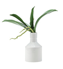 Artificial plant in a vase over white background. Image for interior design.