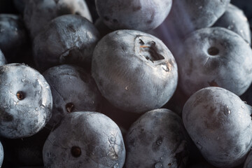 Blueberries closeup