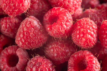 Close up of ripe raspberries