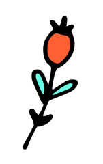 vector twig with berries, outline in black with turquoise leaves and a red round berry at the end, hand-drawn curved twig in the style of doodles