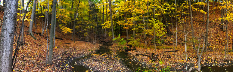 Panorama of a number of streams that congregate into the forest within the city - Mississauga, ON, Canada