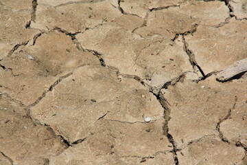 Suelo cuarteado por la sequía