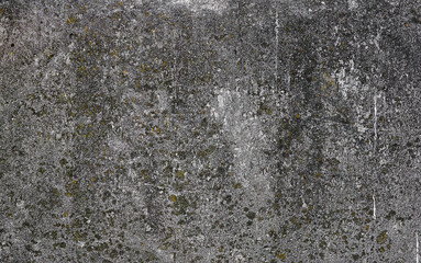 Concrete texture background of old damaged weathered wall with moss spots
