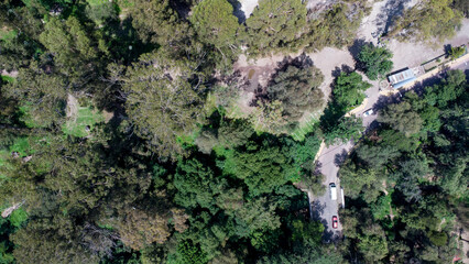 drone bosque 