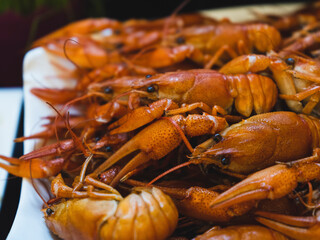 fried delicious crabs on plate