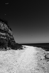 Vertical grayscale of Olimp resort beach, Constanta - obrazy, fototapety, plakaty