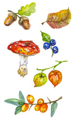 Autumn set