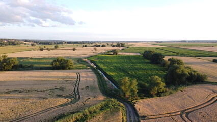 tracks in the field © Bartosz