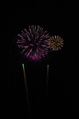 fireworks in the night sky